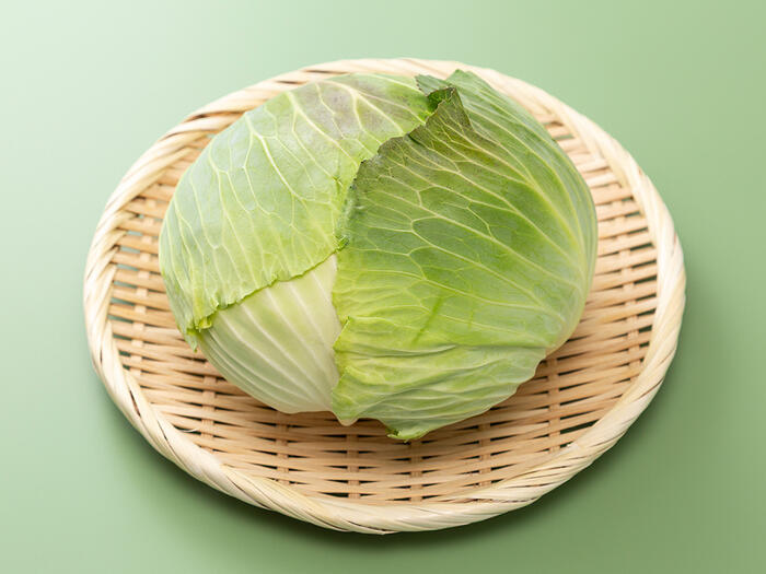 キャベツの写真